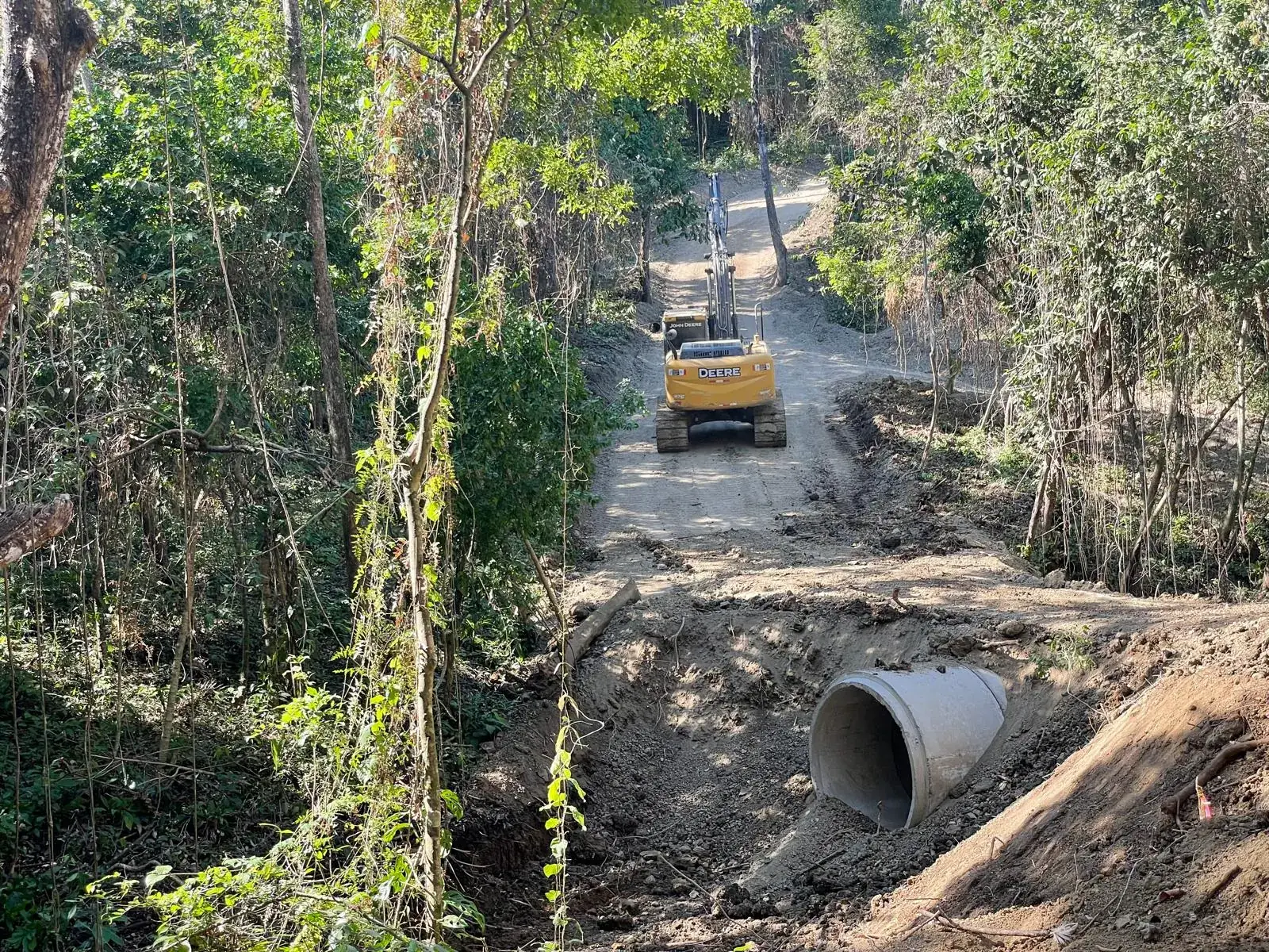 Excavator on a narrow track through the forest