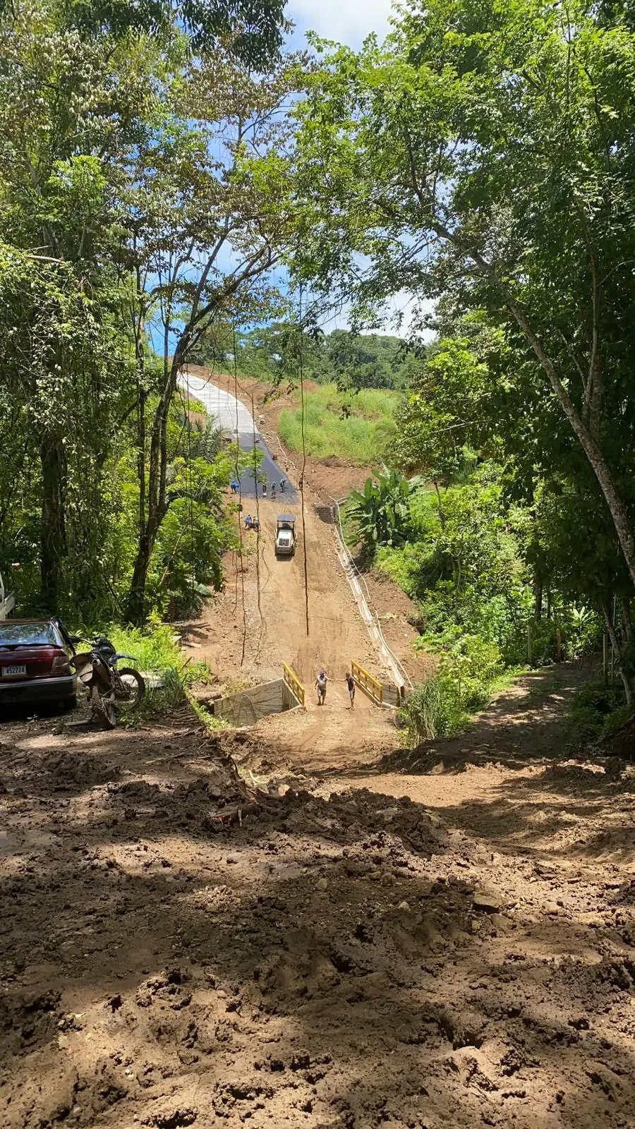 Dirt road through trees on a slope