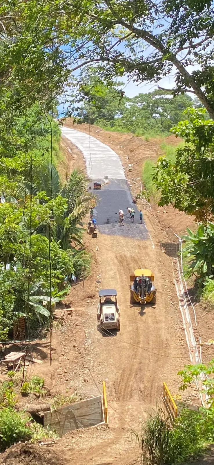 Road running down a forested hillside