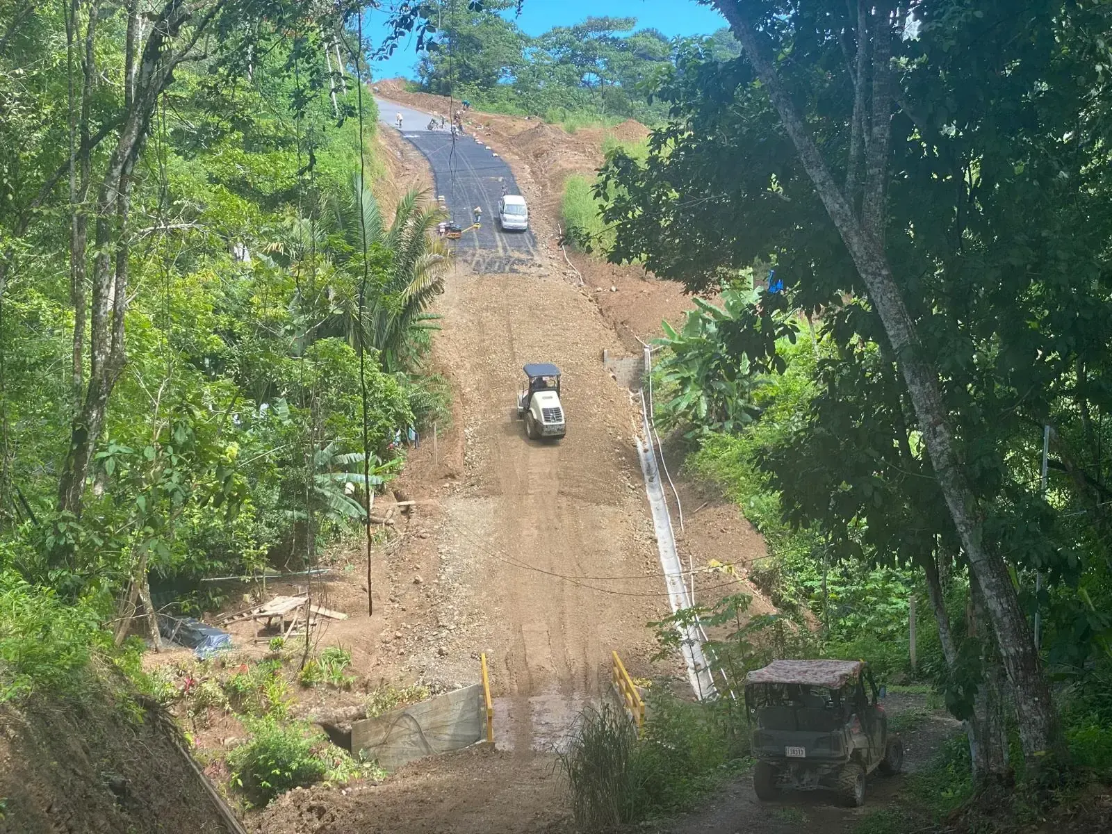 Graded dirt road climbing through the forest