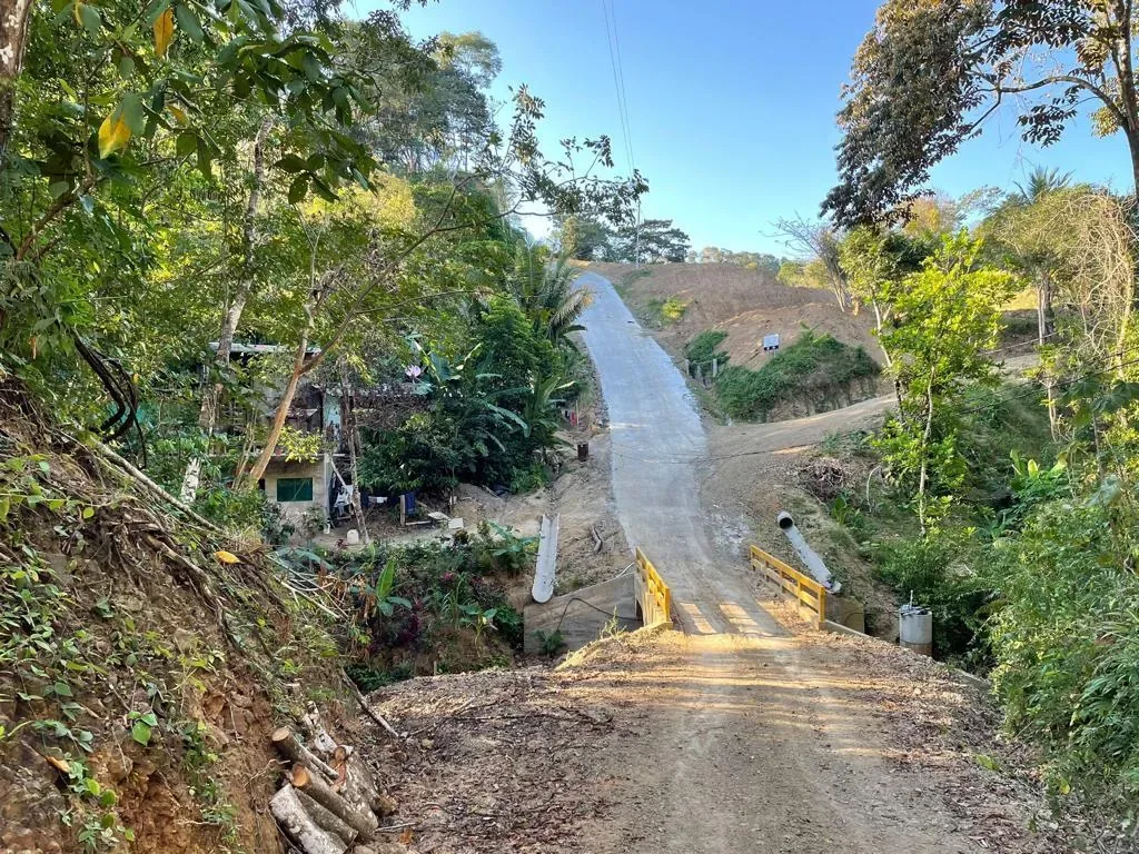 Concrete road bridge with yellow rails crossing a forest stream