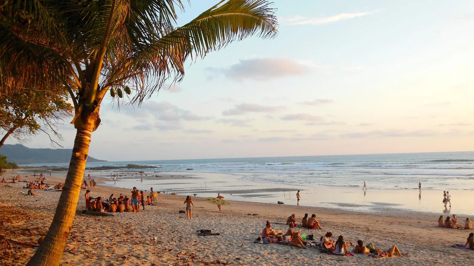Beach with palm trees and surf at sunset