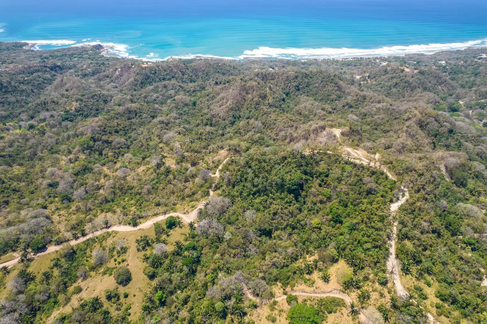 Aerial view of forested hills with dirt roads running toward the ocean