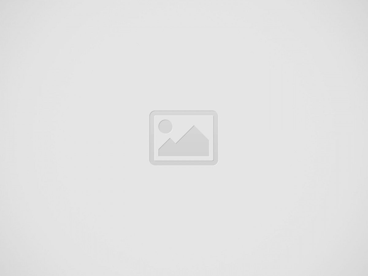 Die besten Echtgeld-Casinos im Internet 2026 getestet