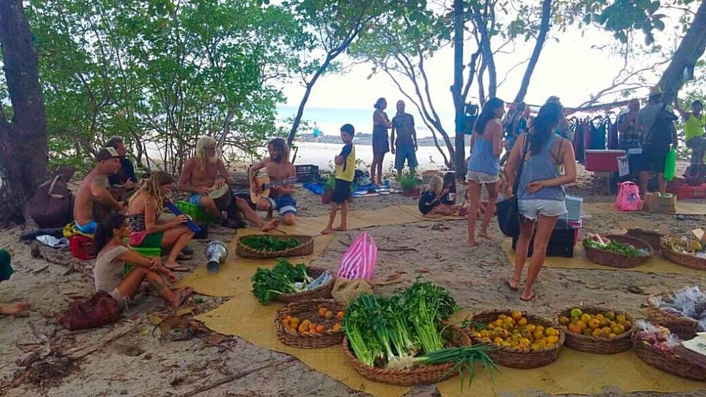 Santa Teresa Organic Market