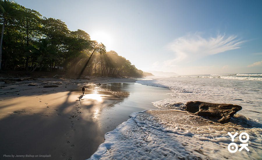15 Things You Didn’t Know About Santa Teresa, Costa Rica
