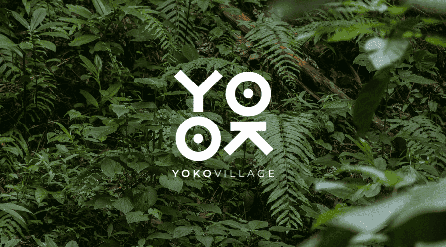 Lush Jungle with the YokoVillage Logo