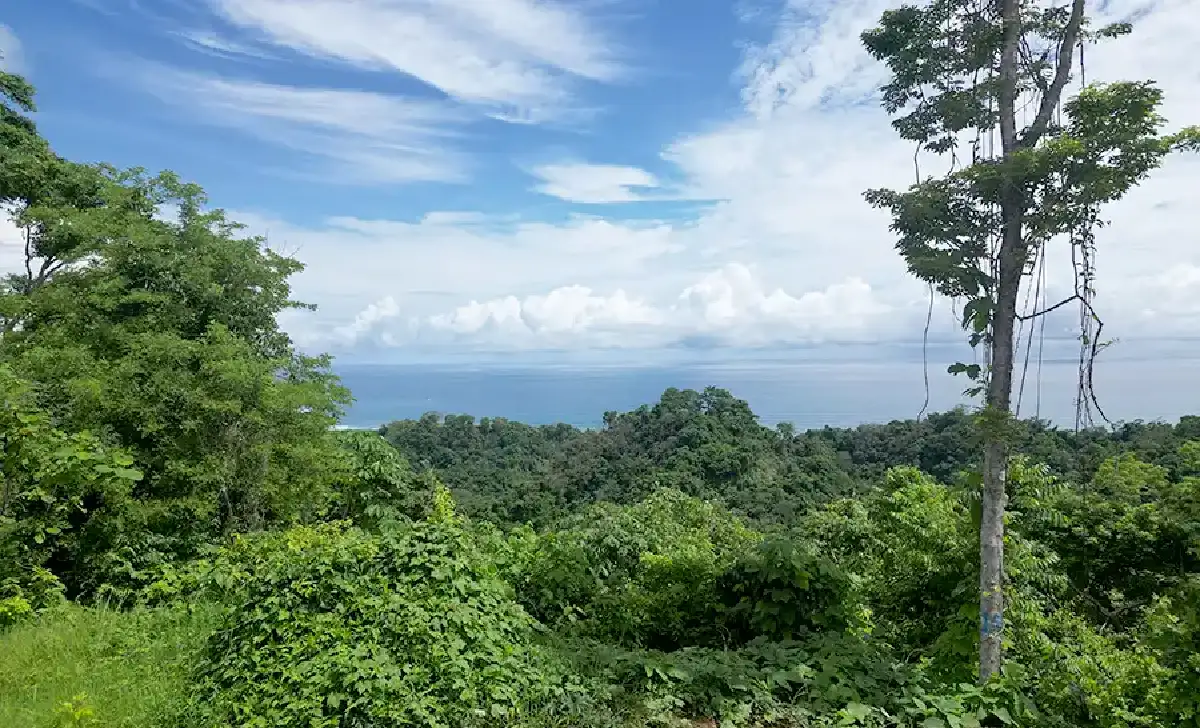 YS A12 First floor view